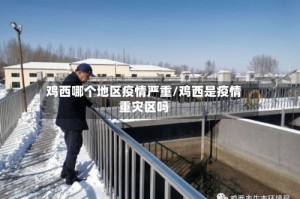 鸡西哪个地区疫情严重/鸡西是疫情重灾区吗