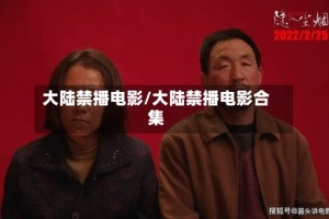 大陆禁播电影/大陆禁播电影合集