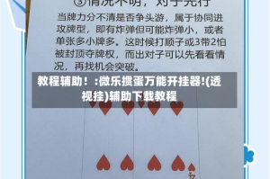 教程辅助！:微乐掼蛋万能开挂器!(透视挂)辅助下载教程