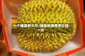一个榴莲多少斤/榴莲的费用多少钱一斤