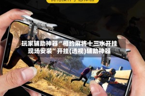 玩家辅助神器“相约麻将十三水开挂现场安装”开挂(透视)辅助神器