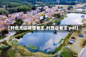 【村色无边隔壁老王,村西边老王 pdf】