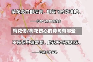 梅花伤/梅花伤心的诗句有哪些