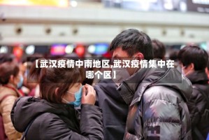 【武汉疫情中南地区,武汉疫情集中在哪个区】
