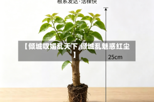 【倾城叹媚乱天下,倾城乱魅惑红尘】