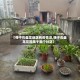 【弹子石盘龙地区有疫情没,弹子石盘龙花园属于哪个社区】