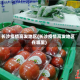 长沙疫情高发地区(长沙疫情高发地区在哪里)