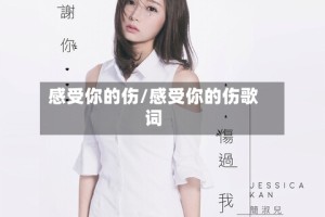 感受你的伤/感受你的伤歌词
