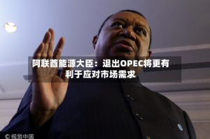阿联酋能源大臣：退出OPEC将更有利于应对市场需求