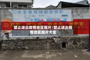 禁止进出疫情地区图片/禁止进出疫情地区图片大全