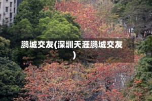 鹏城交友(深圳天涯鹏城交友)