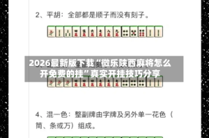 2026最新版下载“微乐陕西麻将怎么开免费的挂”真实开挂技巧分享