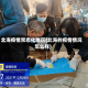 北海疫情常态化地区(北海的疫情情况怎么样)