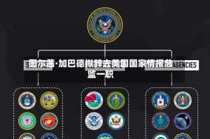 图尔茜·加巴德拟辞去美国国家情报总监一职