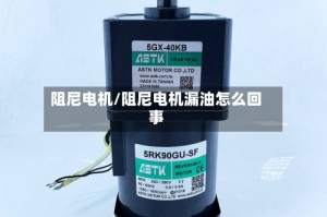 阻尼电机/阻尼电机漏油怎么回事