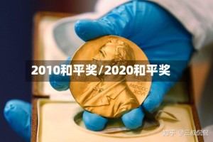 2010和平奖/2020和平奖