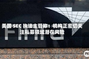 美国 SEC 执法主管称：机构正密切关注私募领域潜在风险