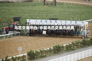 马匹交易平台/中国马匹交易市场费用