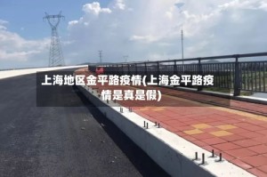 上海地区金平路疫情(上海金平路疫情是真是假)