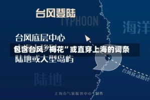 包含台风“梅花”或直穿上海的词条