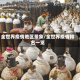 全世界疫情地区景象/全世界疫情排名一览
