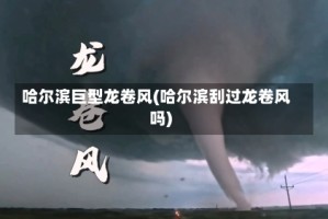 哈尔滨巨型龙卷风(哈尔滨刮过龙卷风吗)