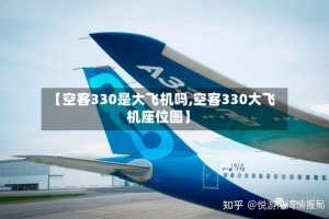 【空客330是大飞机吗,空客330大飞机座位图】