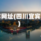 宜宾网址(四川宜宾网)
