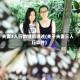 夫妻3人行的经历讲述(关于夫妻三人行软件)