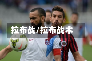拉布战/拉布战术