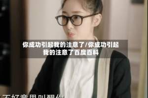 你成功引起我的注意了/你成功引起我的注意了百度百科