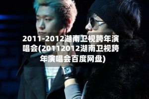 2011-2012湖南卫视跨年演唱会(20112012湖南卫视跨年演唱会百度网盘)