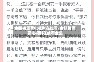 金瓶梅原著电视剧在线看/金瓶梅原著电视剧在线看全集
