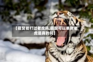 【藏獒能打过老虎吗,藏獒可以单挑老虎是真的吗】