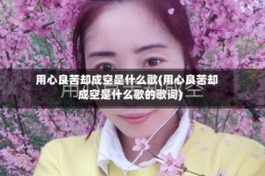 用心良苦却成空是什么歌(用心良苦却成空是什么歌的歌词)