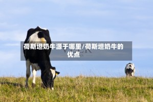 荷斯坦奶牛源于哪里/荷斯坦奶牛的优点