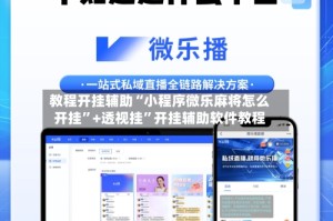 教程开挂辅助“小程序微乐麻将怎么开挂”+透视挂”开挂辅助软件教程