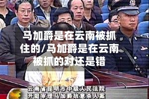 马加爵是在云南被抓住的/马加爵是在云南被抓的对还是错