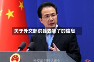 关于外交部洪磊去哪了的信息