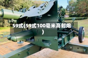 59式(59式100毫米高射炮)