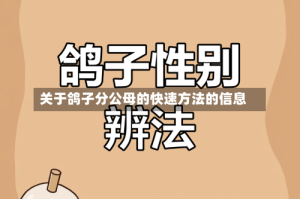关于鸽子分公母的快速方法的信息