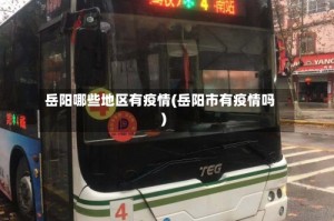 岳阳哪些地区有疫情(岳阳市有疫情吗)
