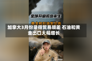 加拿大3月份录得贸易顺差 石油和黄金出口大幅增长
