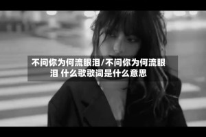 不问你为何流眼泪/不问你为何流眼泪 什么歌歌词是什么意思