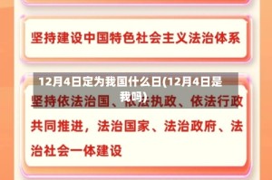 12月4日定为我国什么日(12月4日是我吗)