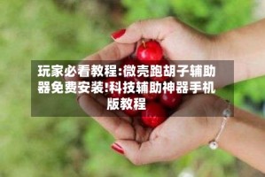 玩家必看教程:微壳跑胡子辅助器免费安装!科技辅助神器手机版教程