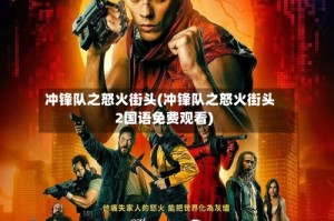 冲锋队之怒火街头(冲锋队之怒火街头2国语免费观看)