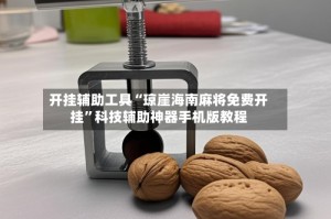 开挂辅助工具“琼崖海南麻将免费开挂”科技辅助神器手机版教程