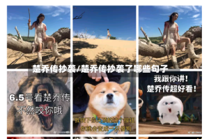 楚乔传抄袭/楚乔传抄袭了哪些句子