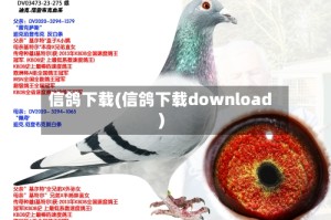 信鸽下载(信鸽下载download)